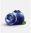 Blue Berry